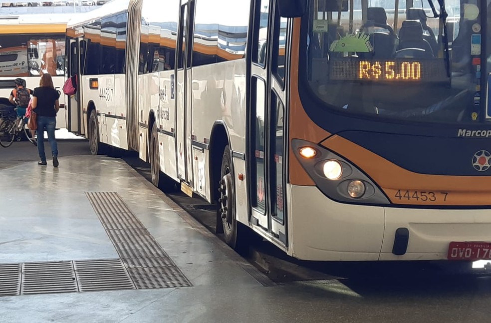 A midia nao é só uma - 'As coisas podem começar como curtas, jogos ou  aplicativos' - Blue Bus