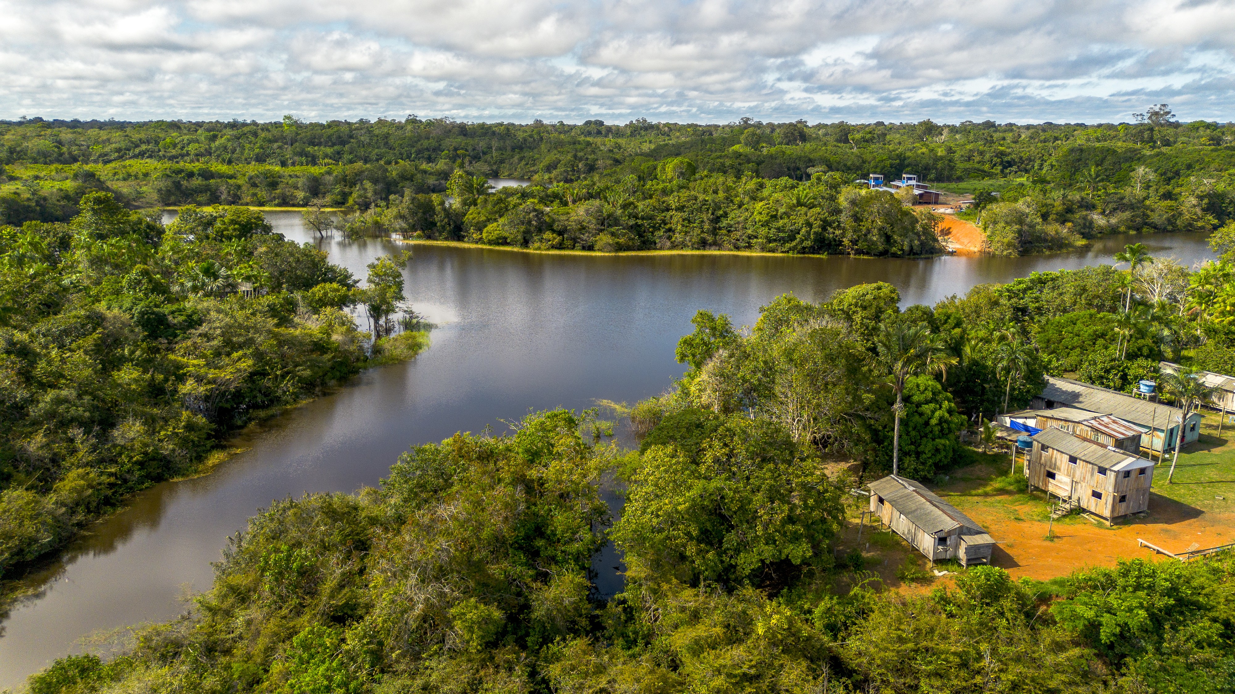 Webinar gratuito reúne vencedor do 'Nobel do Meio Ambiente' para debater oportunidades em bioinovação na Amazônia