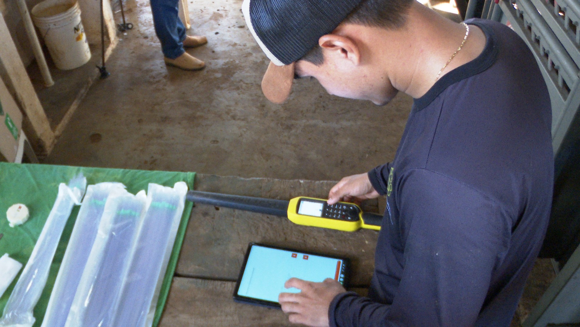 Produtores de Roraima investem em ferramentas digitais para melhorar a pecuária de corte
