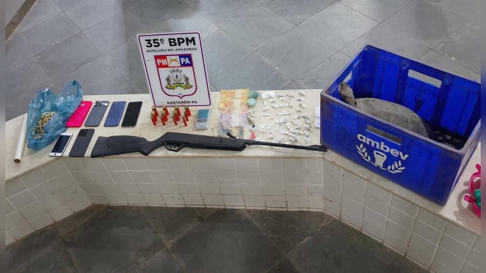 Tráfico de drogas: PM prende casal com drogas e quelônios em Santarém