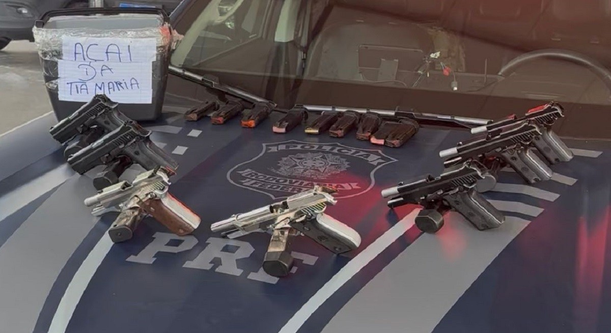 PRF apreende sete armas escondidas em caixa de açaí na BR-316, no Pará