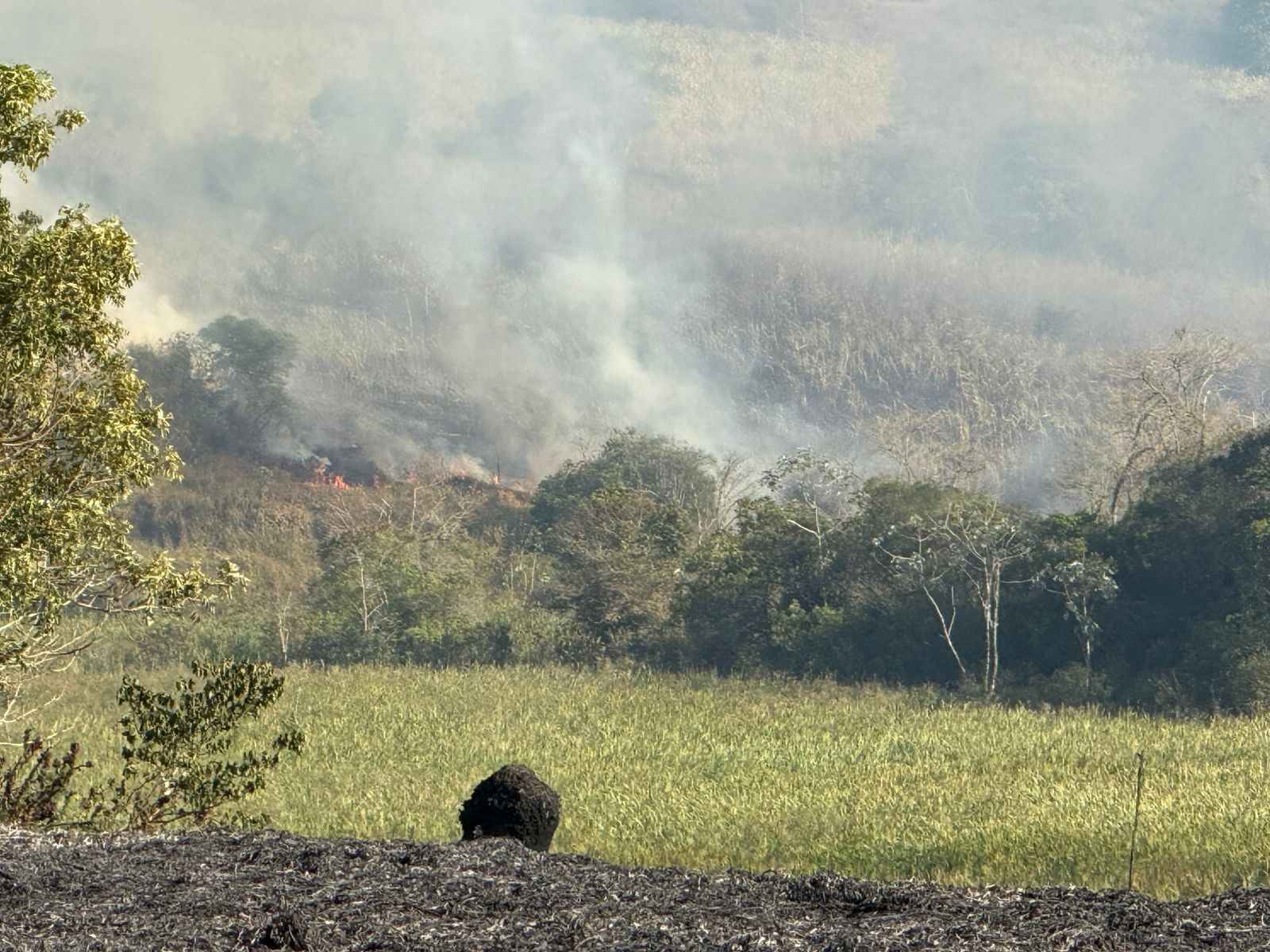 Queimada em área de mata de Caçapava já dura mais de 14 horas