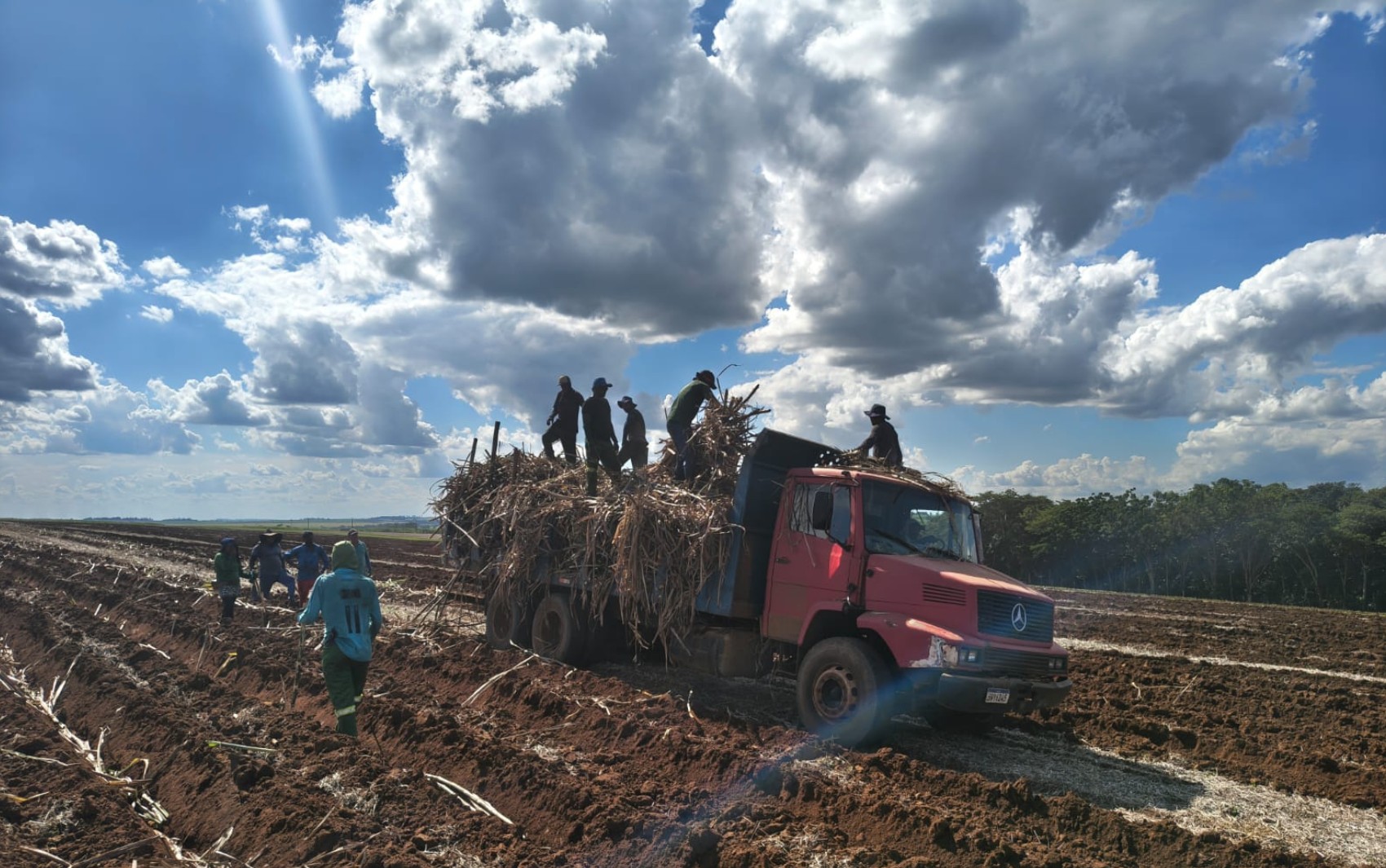 Trabalhadores em condições análogas à escravidão são resgatados de fazenda de cana-de-açúcar em Batatais, SP