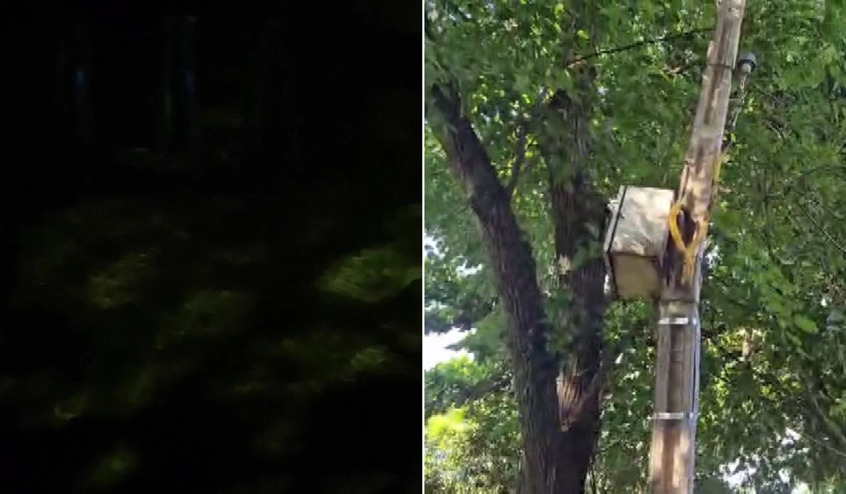 Moradores reclamam de falta de energia em praça de Piracicaba há 2 meses, desde queda de árvore