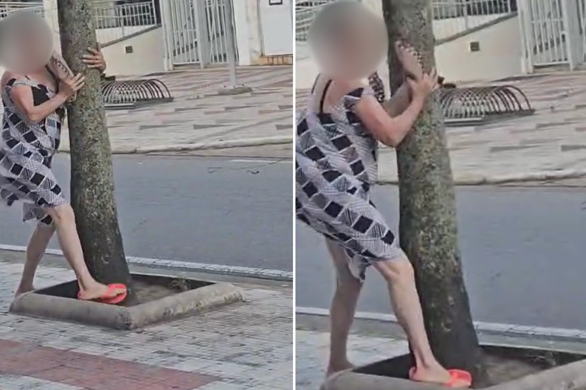 Mulher se segura em árvore para não ser levada por ventania que provocou destruição no Paraná; VÍDEO