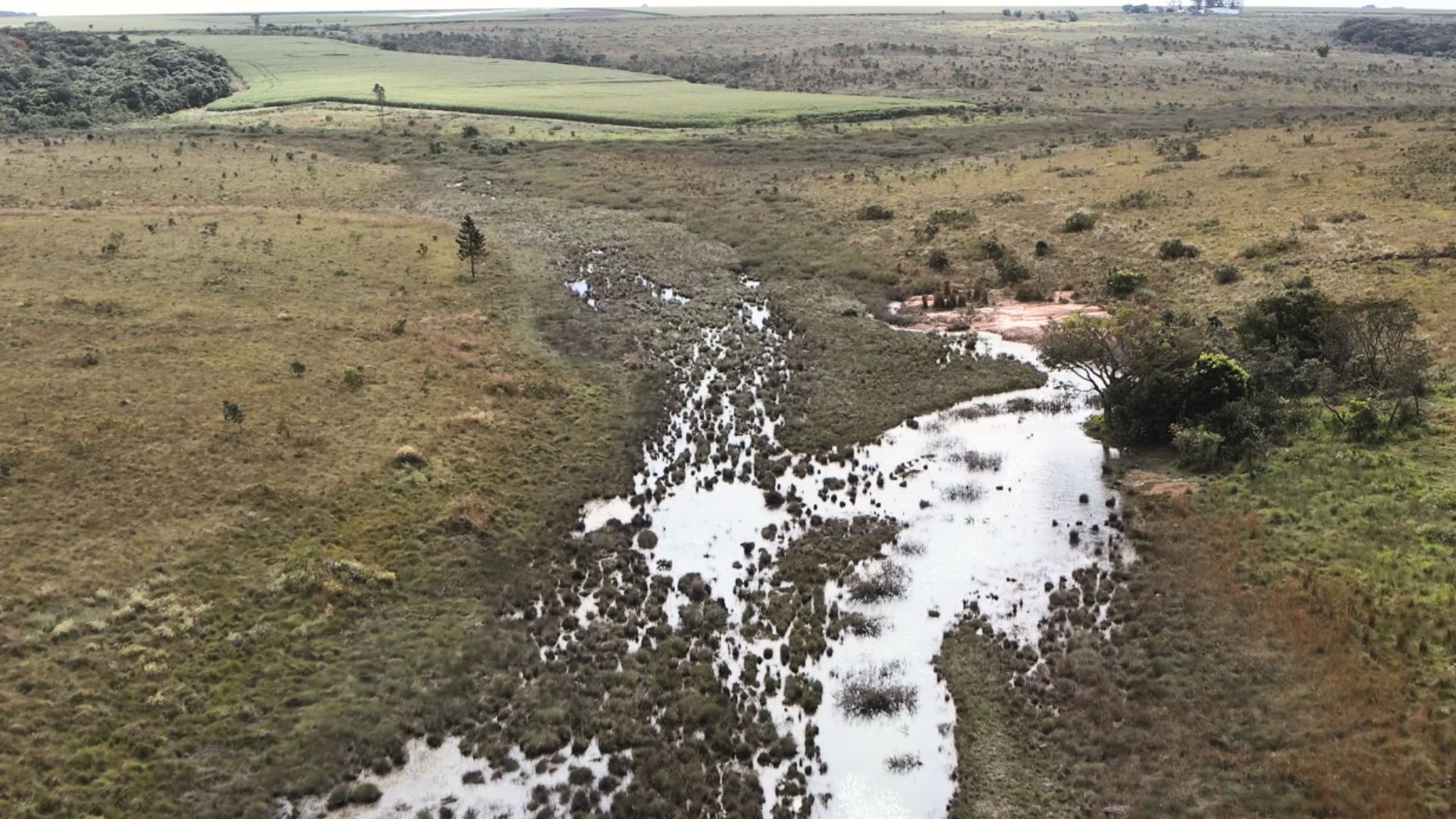 Ibama embarga 500 hectares e aplica R$ 4,5 milhões em multas a fazendeiros de Uberlândia e Uberaba