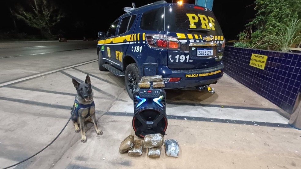 Droga localizada por cães farejadores da PRF — Foto: PRF MT