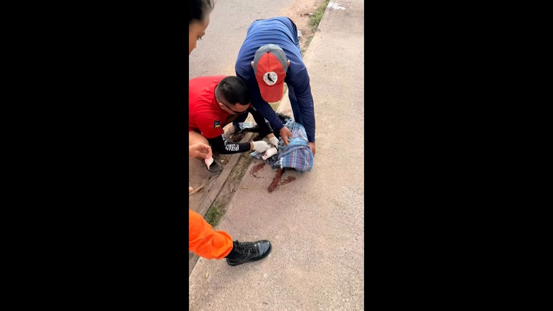 Cachorro é resgatado após ter uma das patas decepada com golpes de facão em Macapá; VÍDEO 