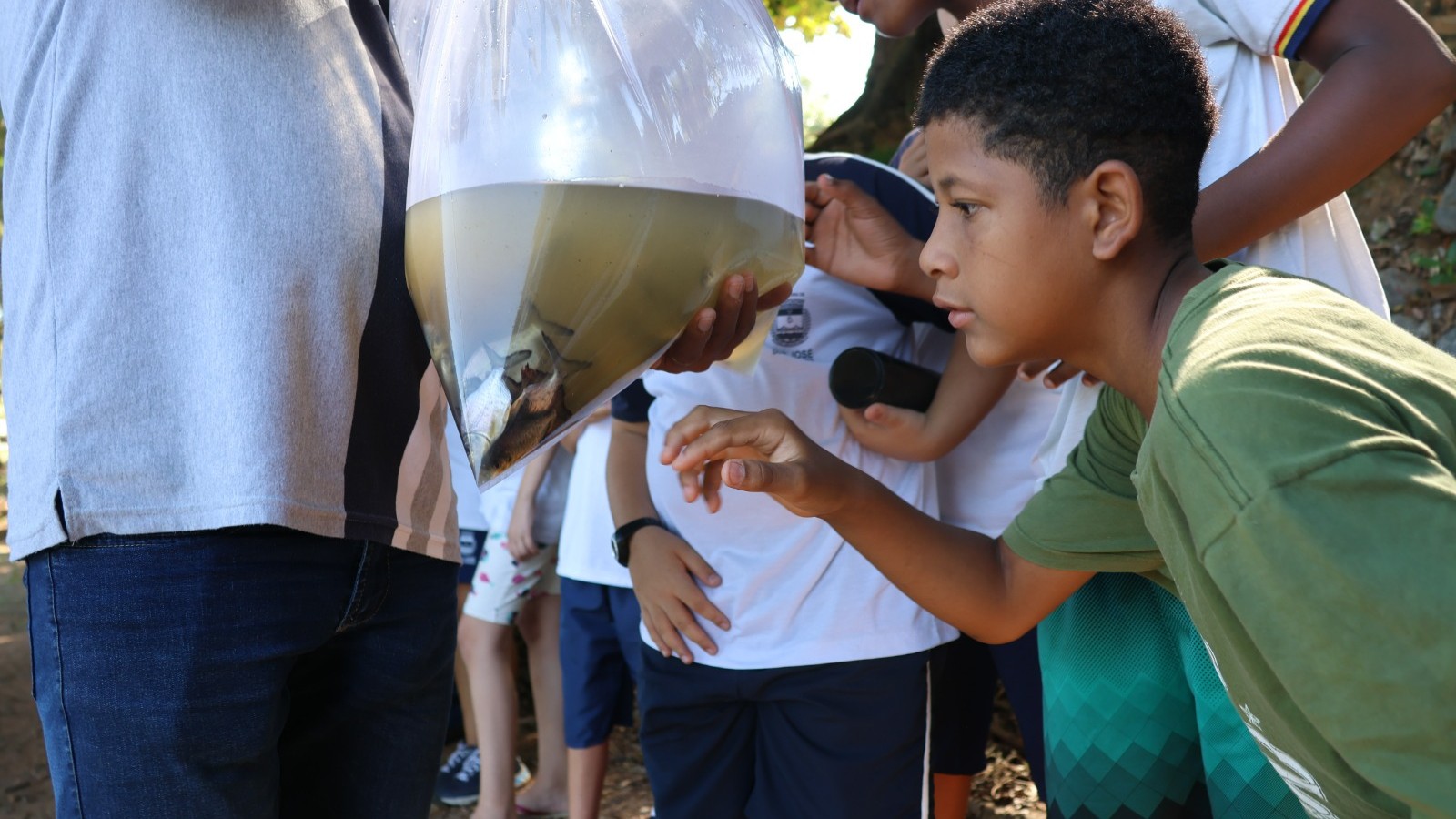 São José do Rio Pardo realiza soltura de 45 mil alevinos