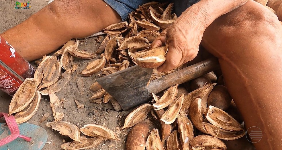 Quebradeiras de coco babaçu produzem azeite vendido há gerações em Barras — Foto: Jairo Silva/TV Clube