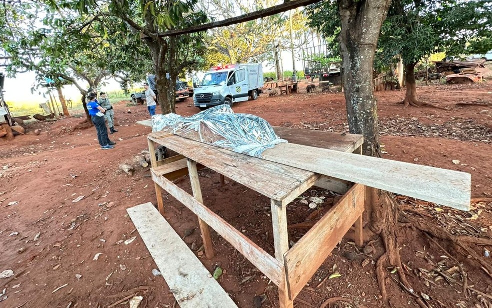 Caseiro é encontrado morto e com corpo devorado por porcos em fazenda de Goiás, diz polícia - Goiás — Foto: Reprodução/Polícia Civil
