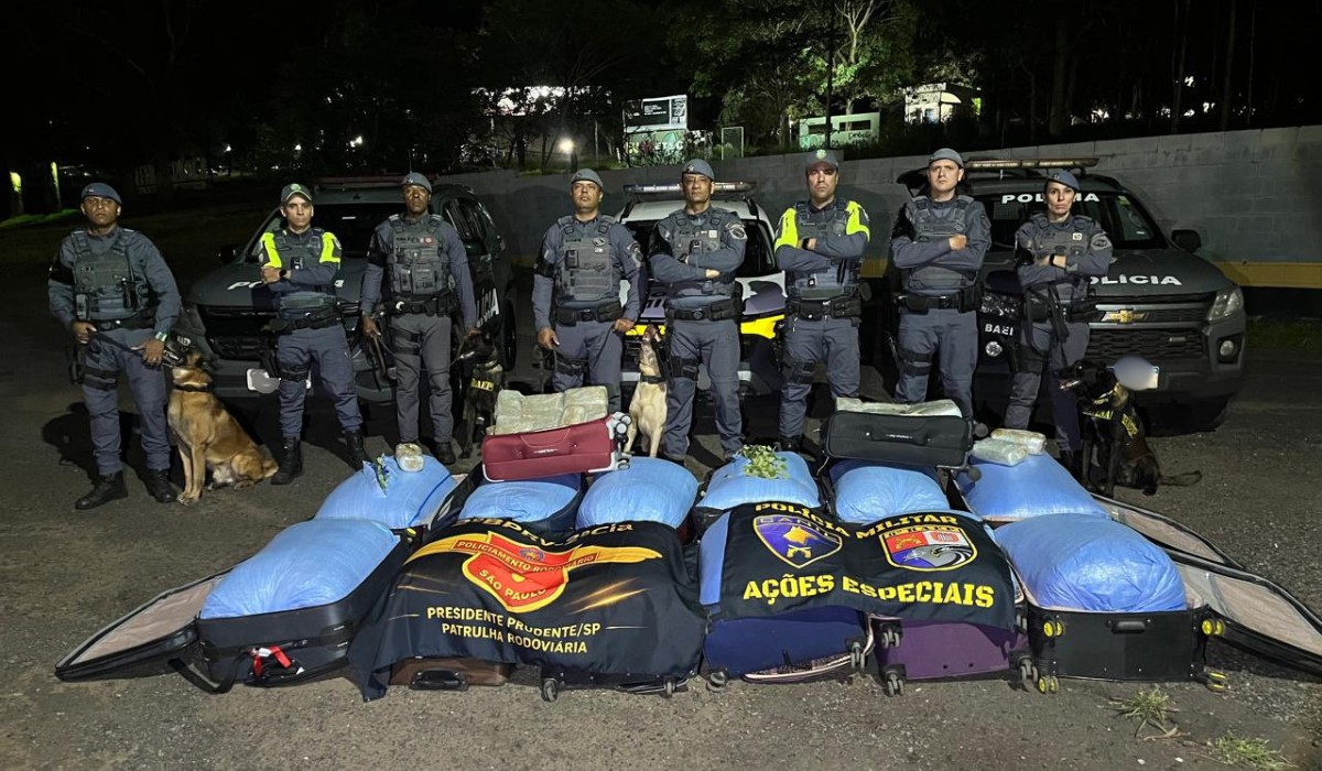 Mais de 340 kg de folhas de coca e maconha são apreendidos em ônibus no interior de SP