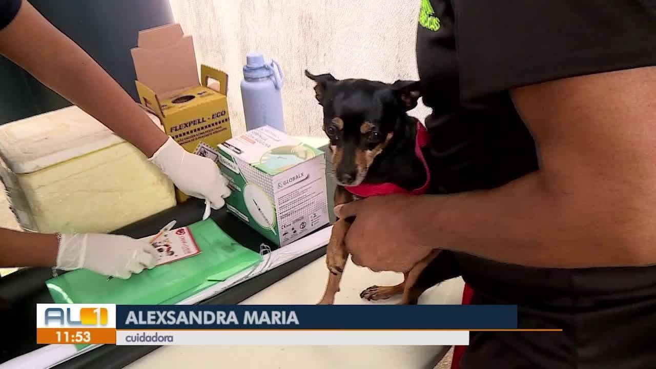 VÍDEOS: AL1 de quarta-feira, 9 de julho