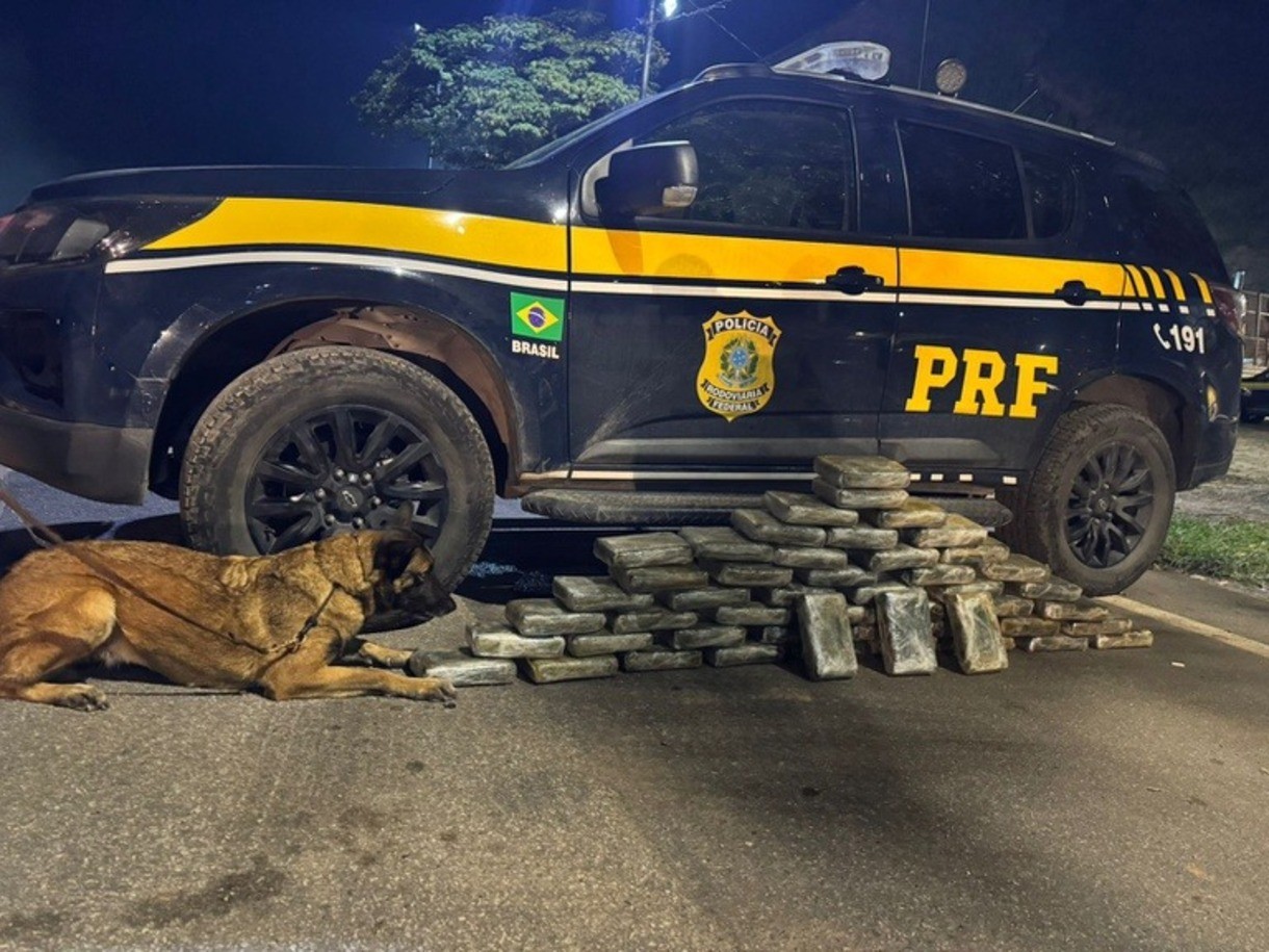 Cerca de 50 kg de maconha são apreendidos na Via Dutra, em Piraí