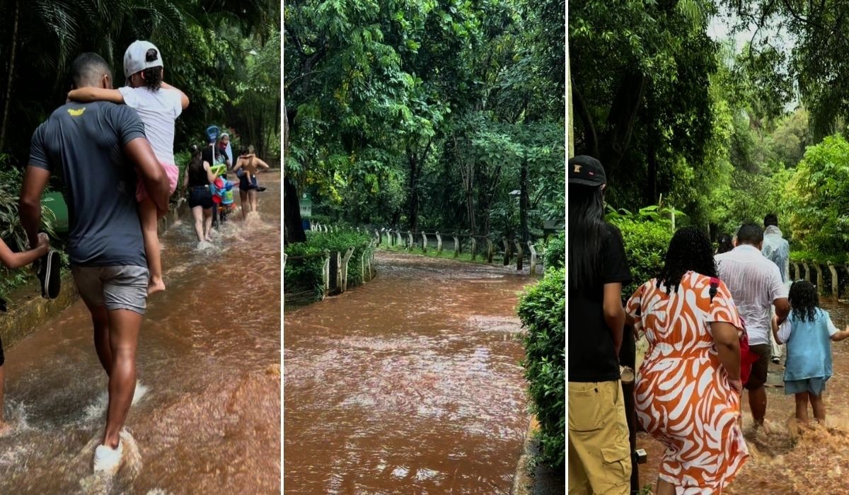 VÍDEO: chuva alaga zoológico de Americana e visitantes enfrentam enxurrada para deixar local