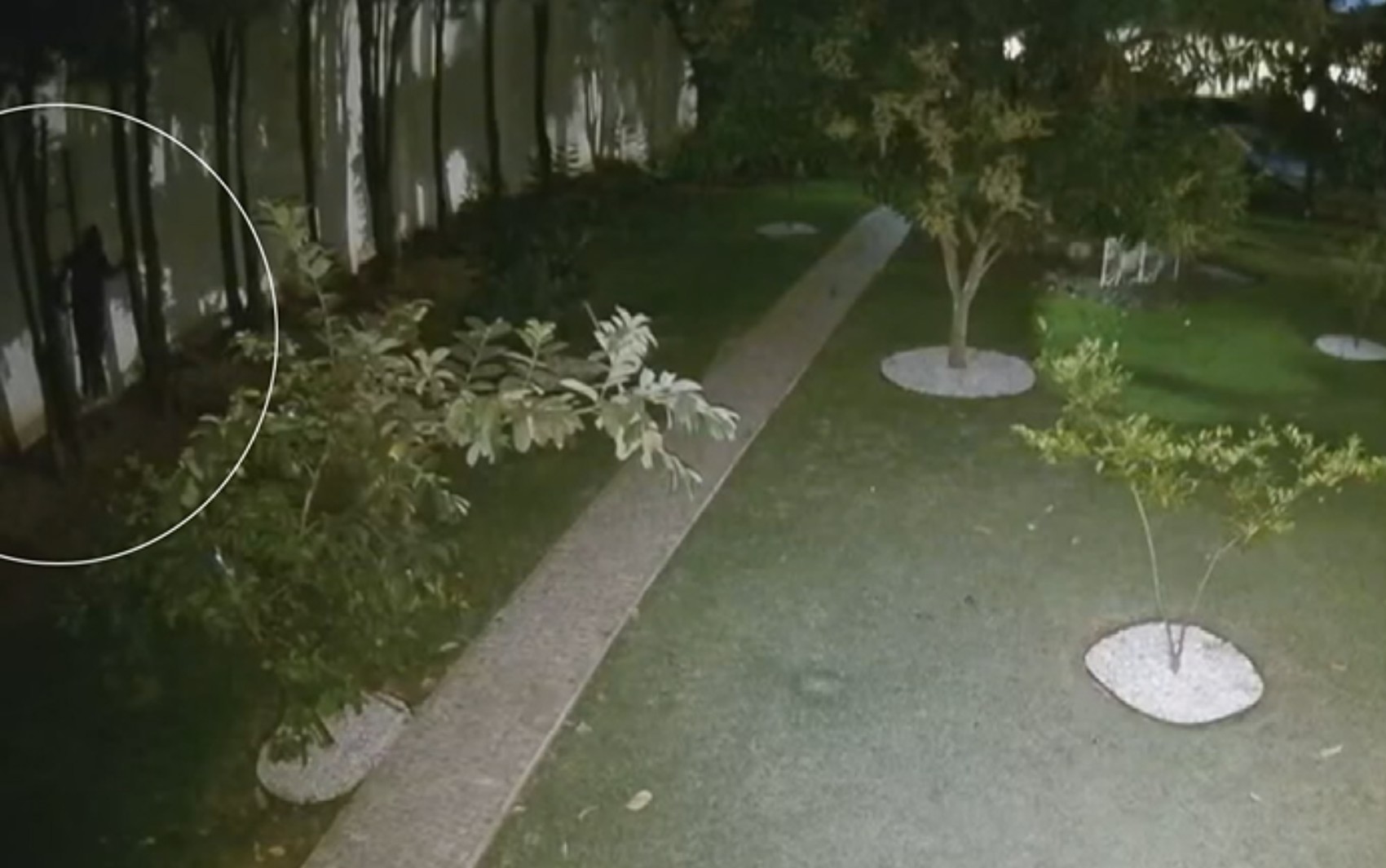 Criminosos levam R$ 250 mil em joias após invadirem condomínio e render casal em Ribeirão Preto; VÍDEO