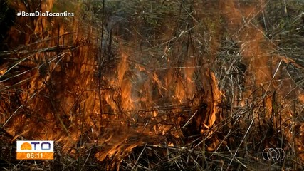 Número de focos de incêndio aumentou 45% no Tocantins