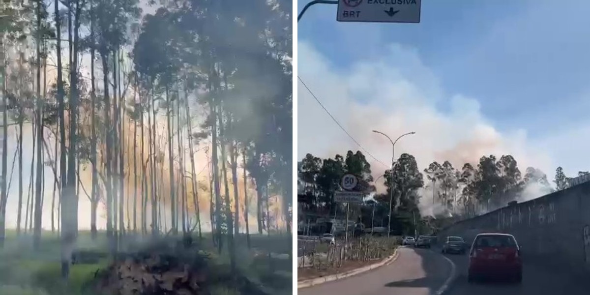 Incêndios atingem duas áreas de mata em Campinas