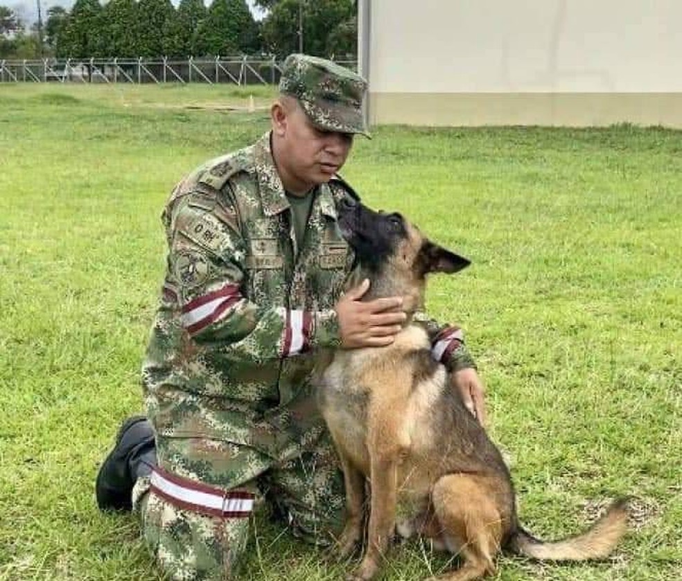 O cachorro Wilson, em imagem divulgada pelo Exército colombiano — Foto: Reprodução/Exército da Colômbia
