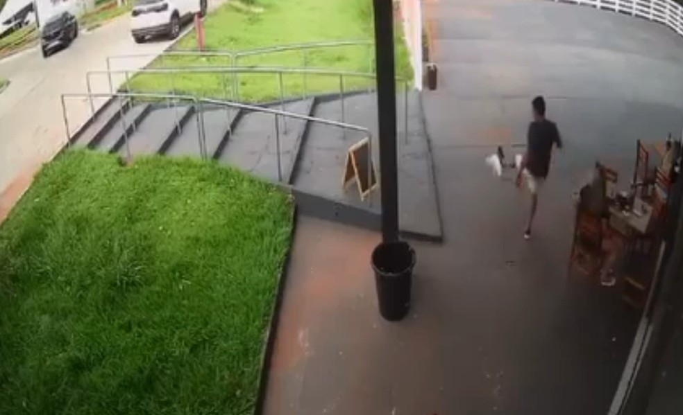 Homem pode responder por crime ambiental e pagar multa por maus tratos a cães e gatos em Piraju (SP) — Foto: Reprodução