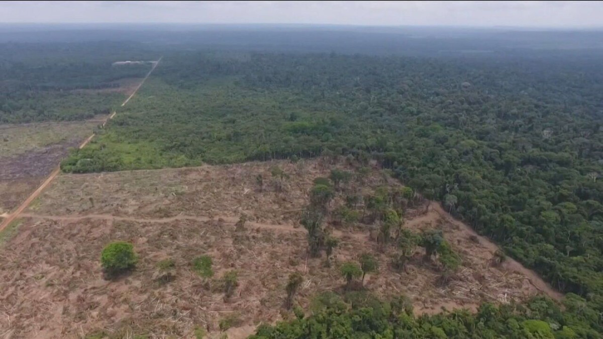 Exército Brasileiro combate crimes transfronteiriços e ambientais na região  Amazônica - Dialogo Americas