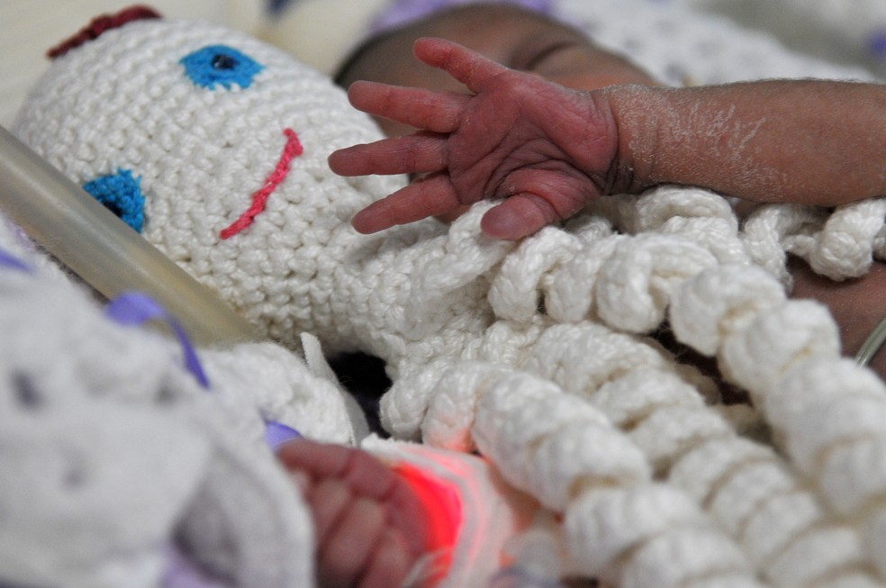 Bebê prematuro na UTI neonatal do Hospital Regional de Santa Maria — Foto: Tony Winston/Agência Brasília