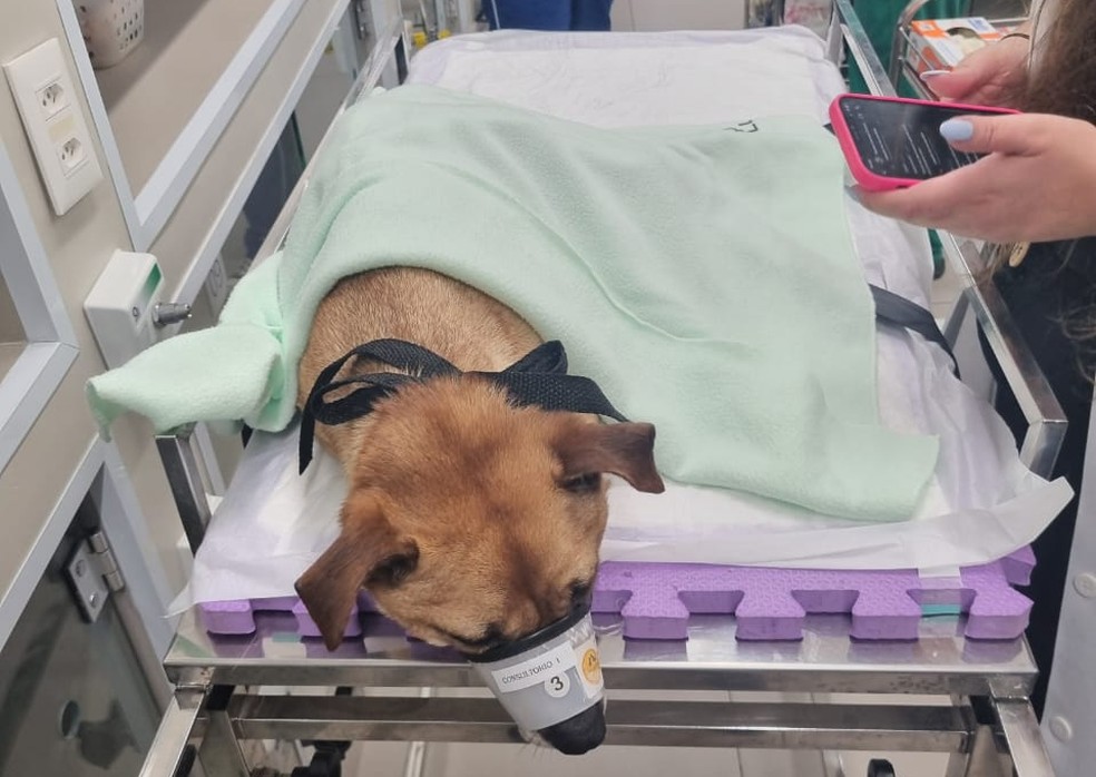 Marcelinho após ser encontrado em São Paulo — Foto: Arquivo Pessoal