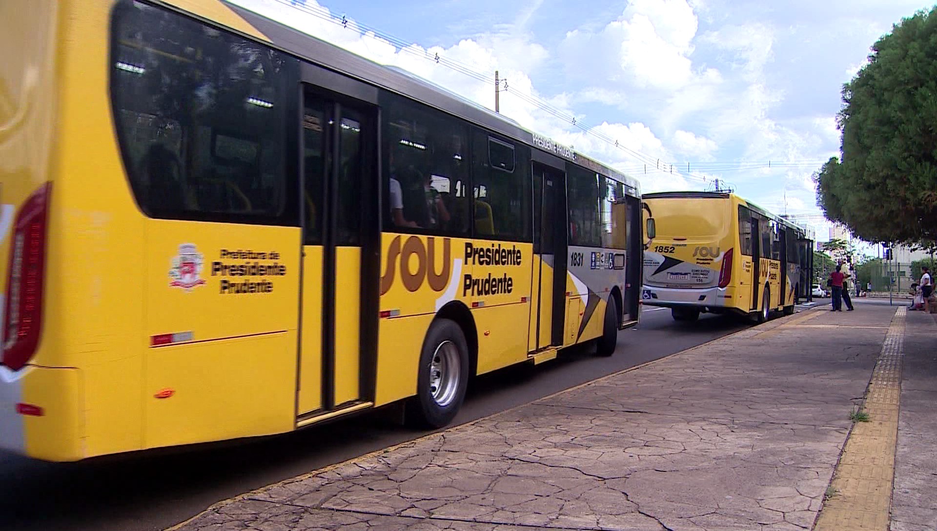 Câmara marca sessão extraordinária para votar projeto que tenta implantar ônibus grátis em Presidente Prudente