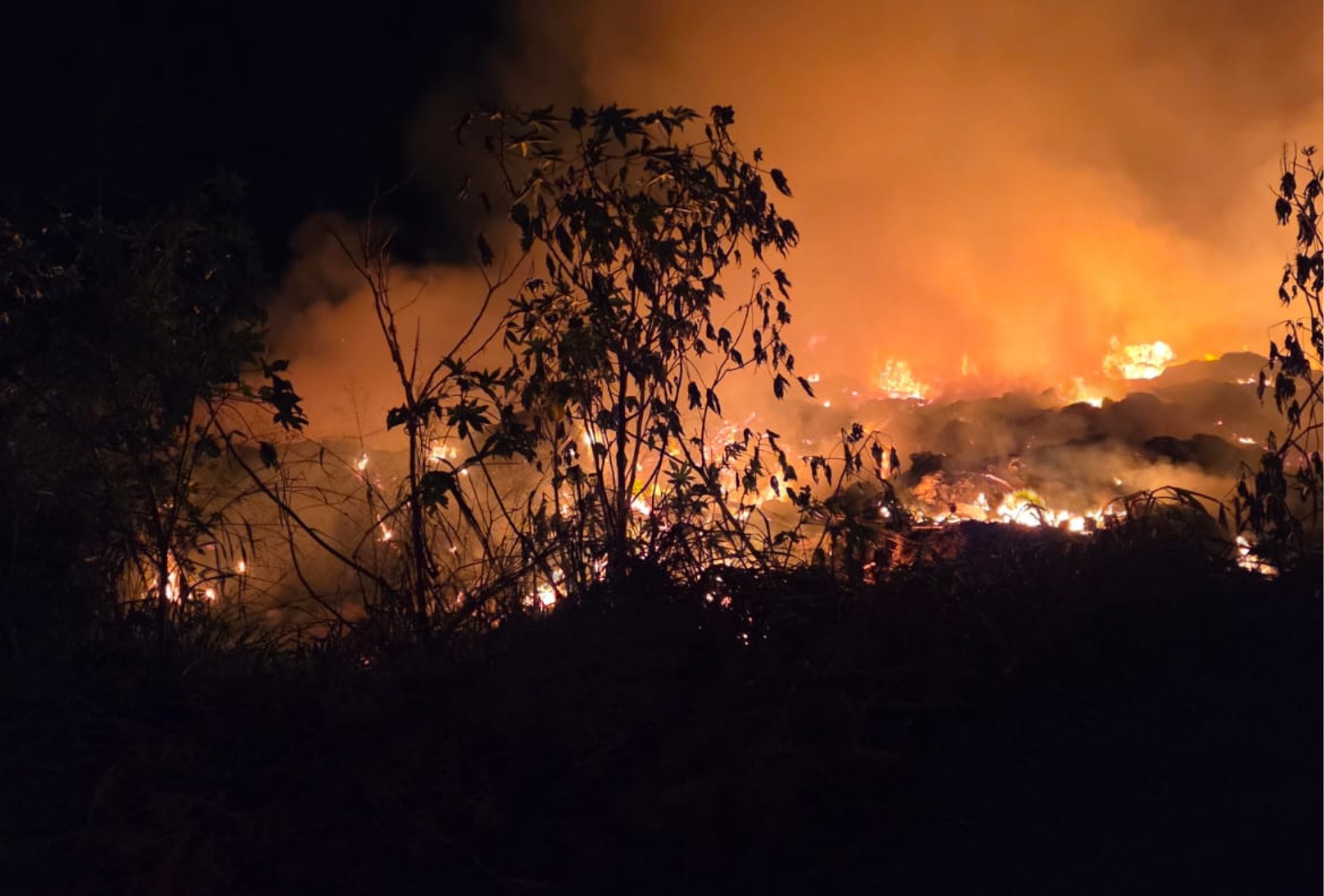 Incêndio de grandes proporções atinge ecoponto e assusta moradores durante a madrugada