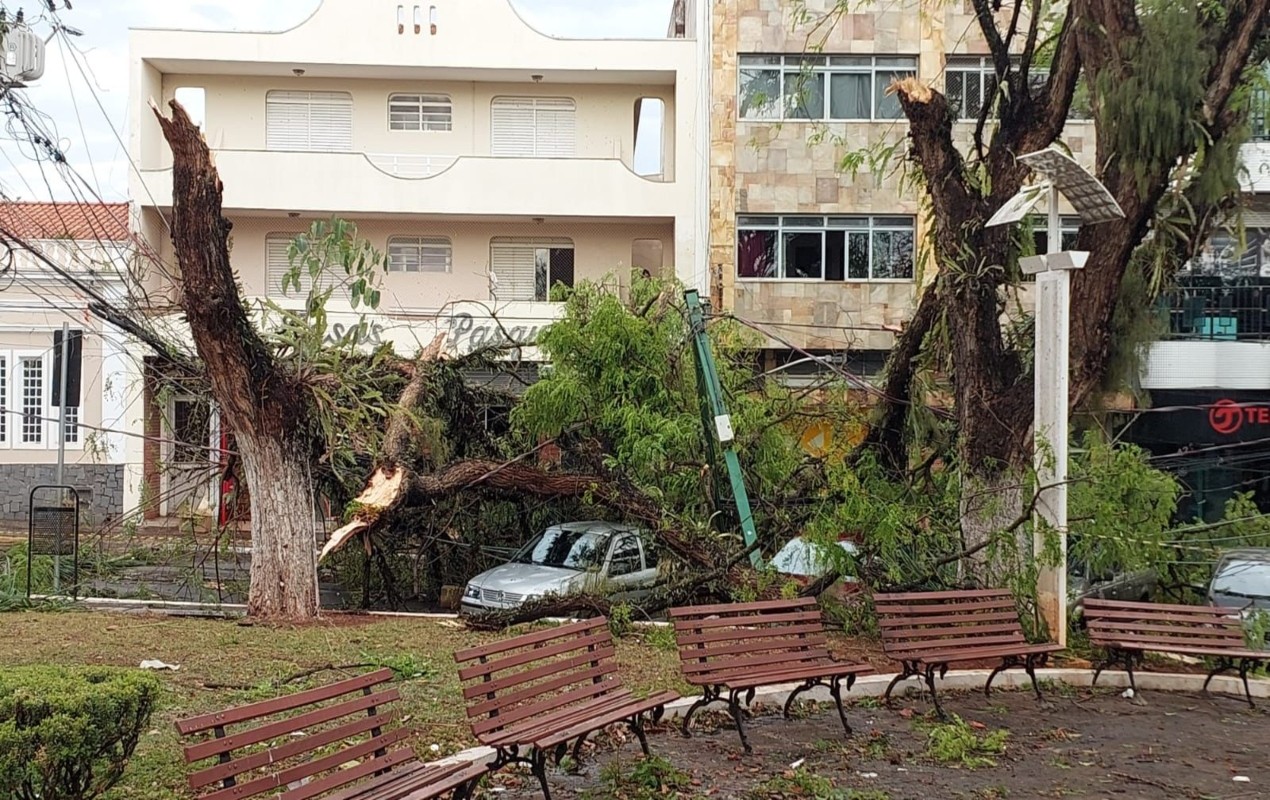 Você Não Tá Convidada pro Meu Bat Mitzvá!