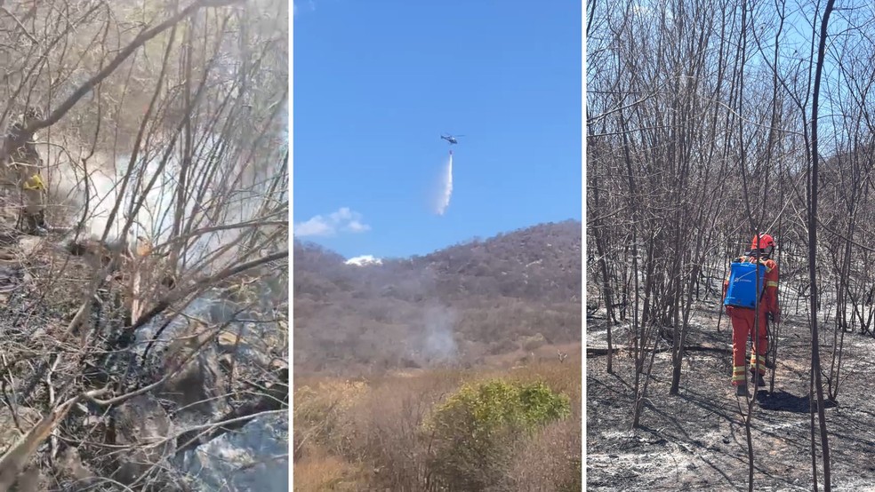 incendio atinge quase 800 hectares de terra na paraiba