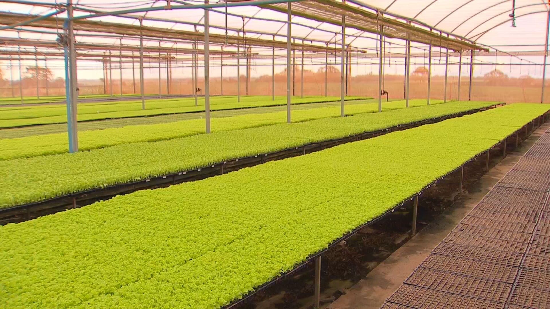 Tecnologia e gestão transformam agro no Noroeste Paulista