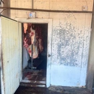 Suspeitos de abate clandestino de animais são presos com quase 3 toneladas de carne para venda ilegal