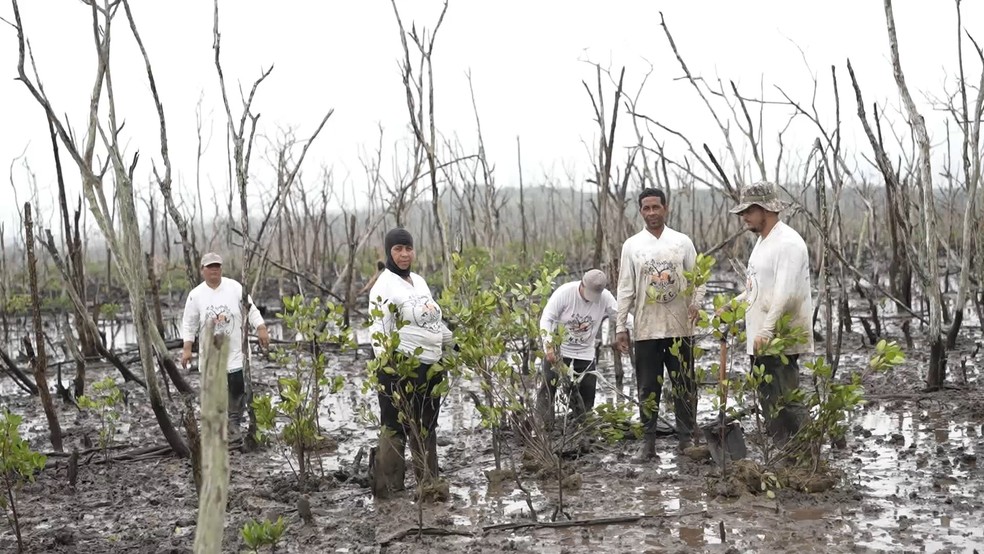 Ribeirinhos plantam mudas nativas para recuperar mangue morto no Espírito Santo — Foto: Samy Ferreira/TV Gazeta
