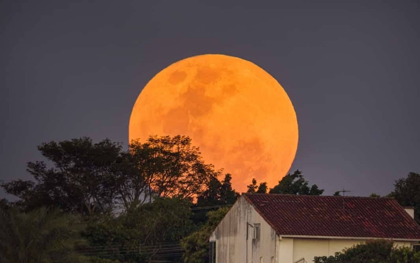'Lua Cheia Rosa': saiba como vê-la em Goiás