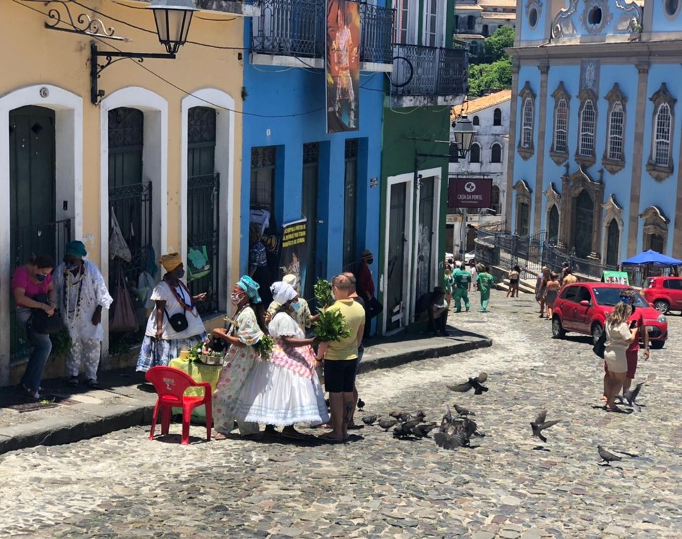 Conheca banho e simpatia com folhas para atrair amor e dinheiro em 2024 Verao G1