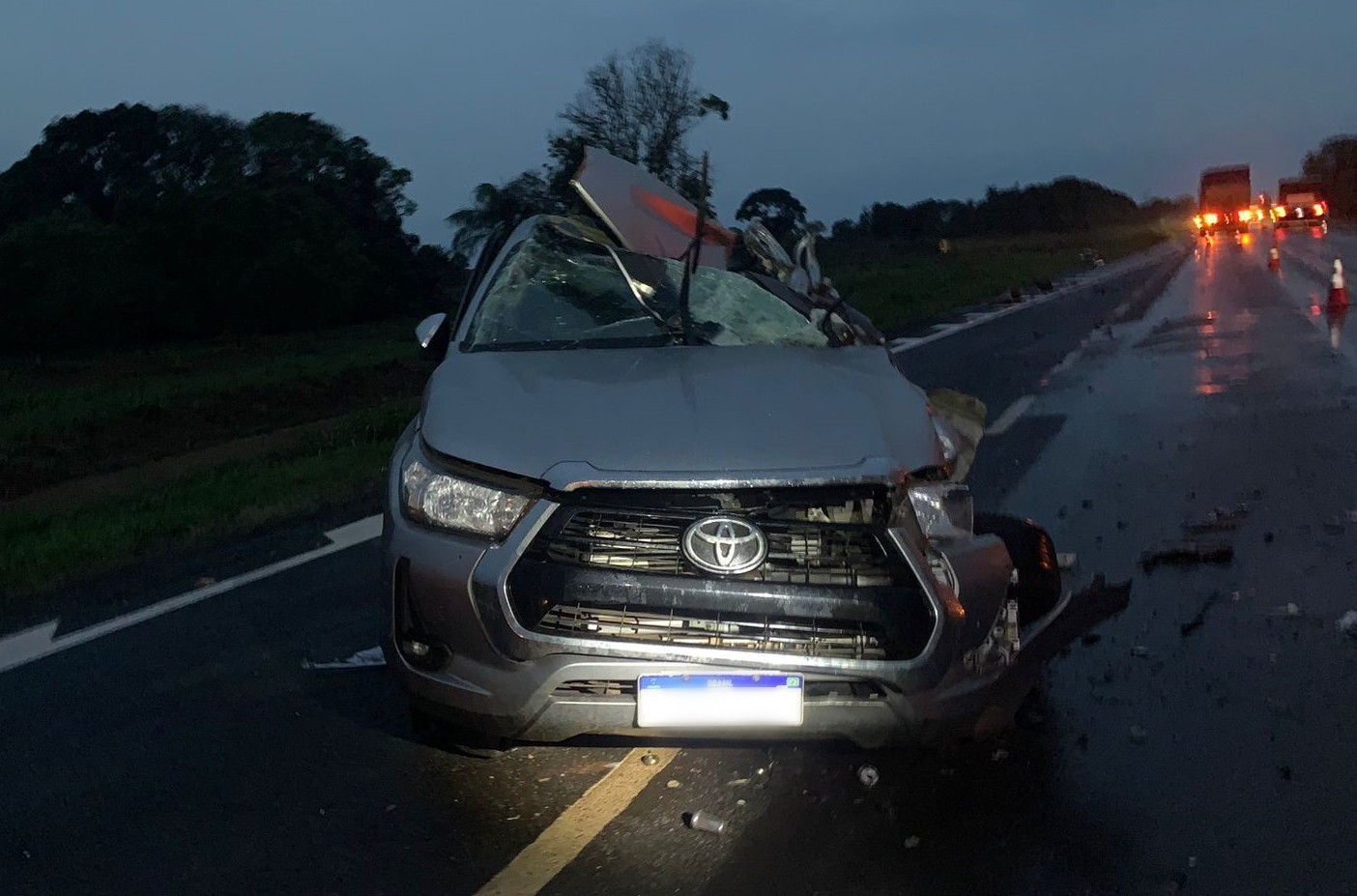 Motorista de caminhonete morre ao bater de frente com carreta na BR-365