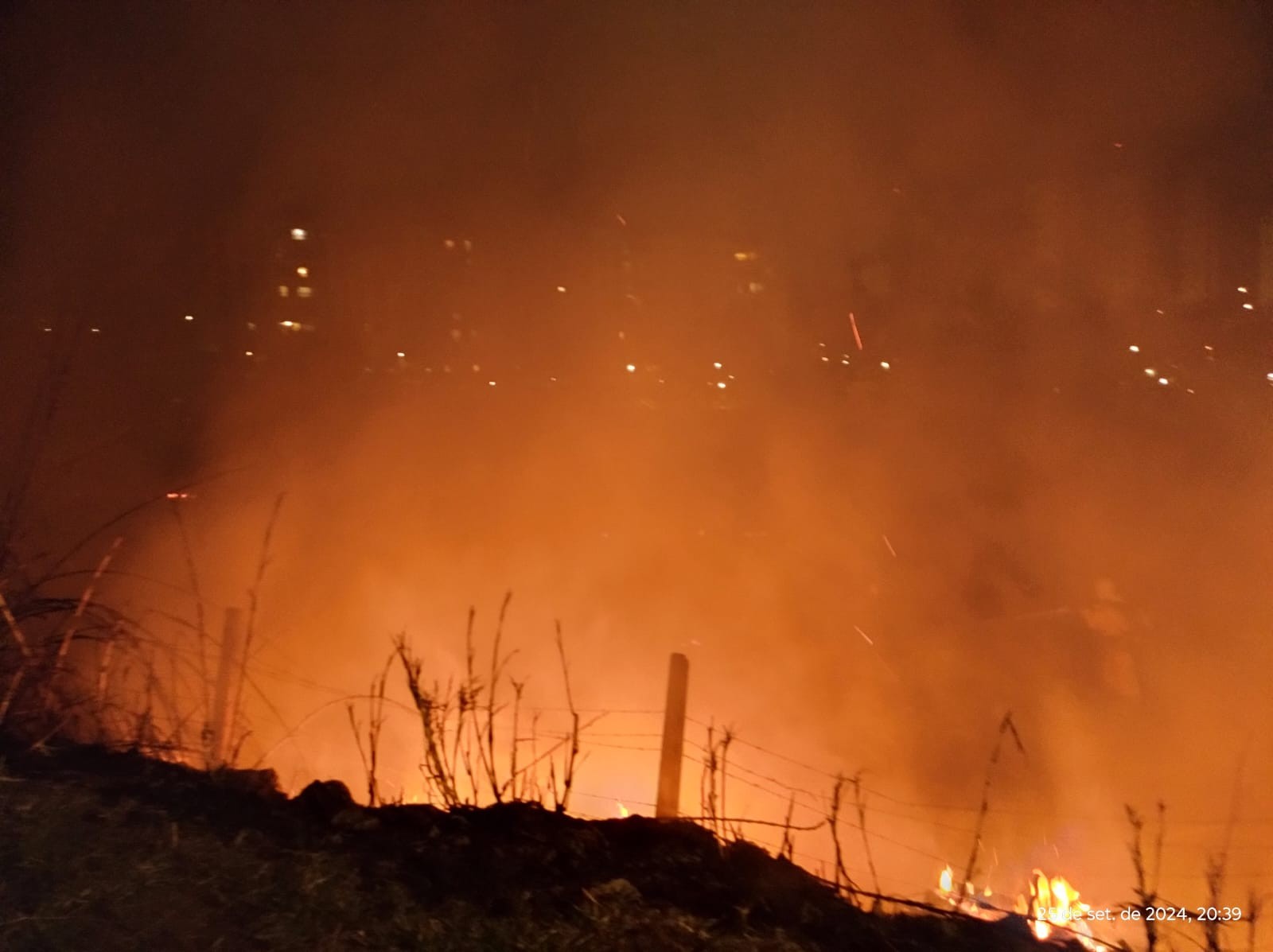 Incêndio florestal atinge área de mata e se alastra rapidamente em Marília