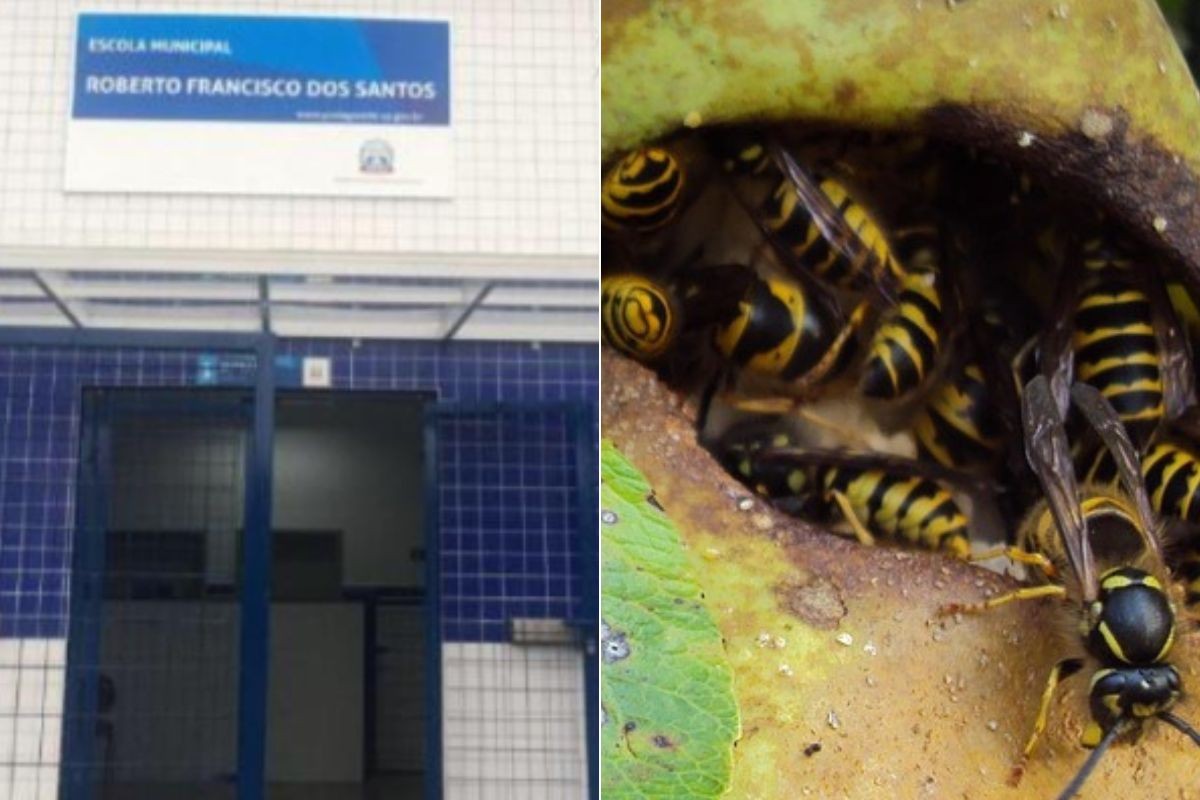 Enxame de vespas assusta alunos e Bombeiros evacuam escola no litoral de SP	