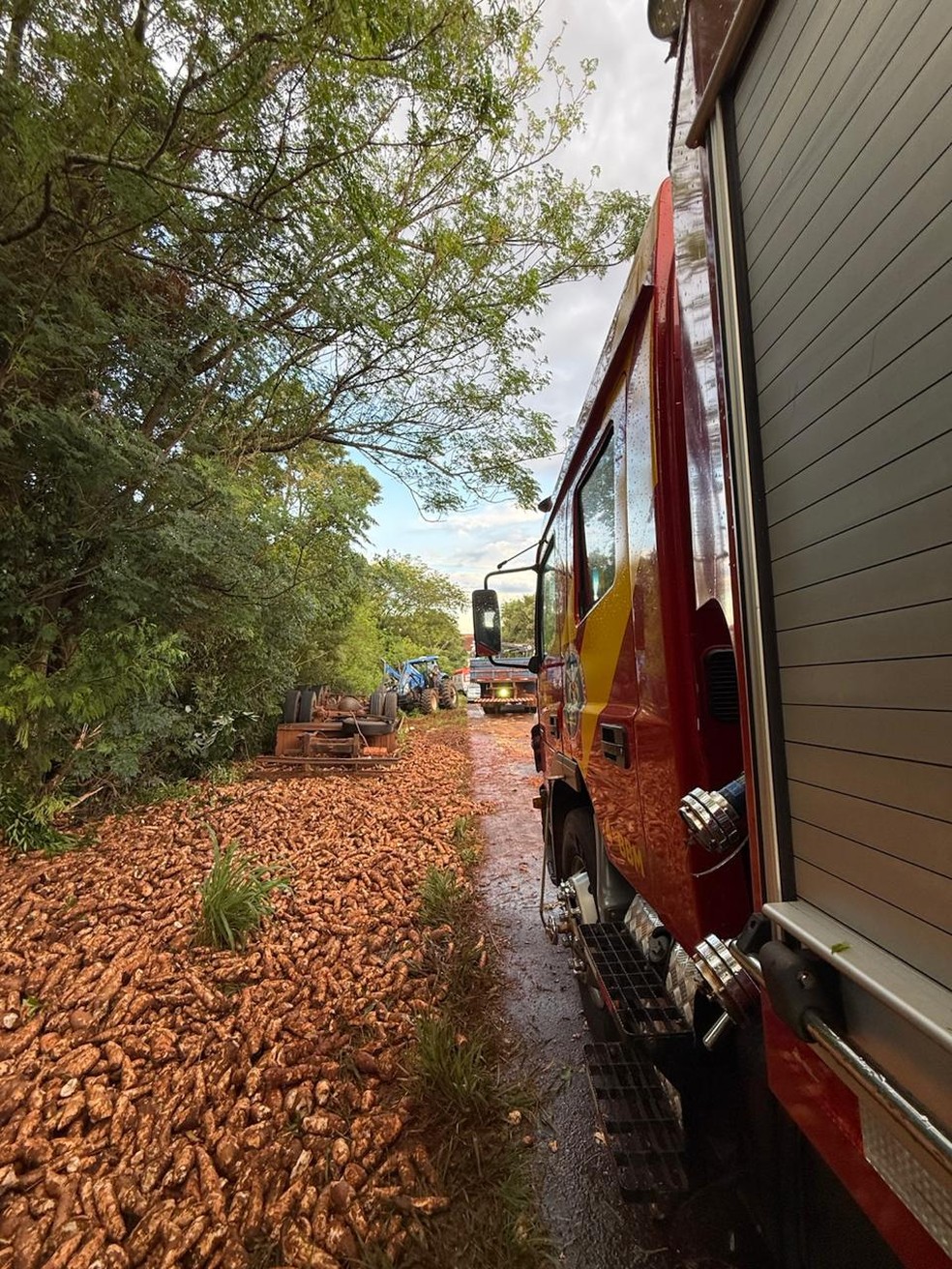Caminhão estava carregado — Foto: Corpo de Bombeiros