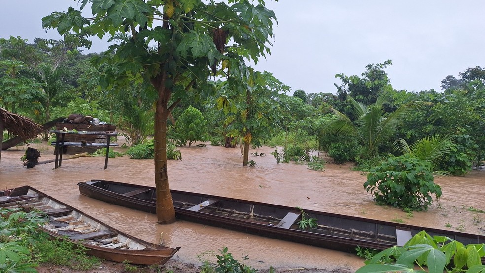 Governo anunciou cria&ccedil;&atilde;o de for&ccedil;a-tarefa para auxiliar ind&iacute;genas &mdash; Foto: Yara Piy&atilde;ko/Arquivo pessoal