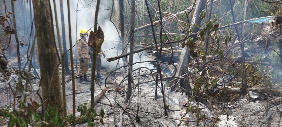 Aeronave caiu em área de mata próximo ao aeroporto de Rio Branco — Foto: Corpo de Bombeiros do Acre