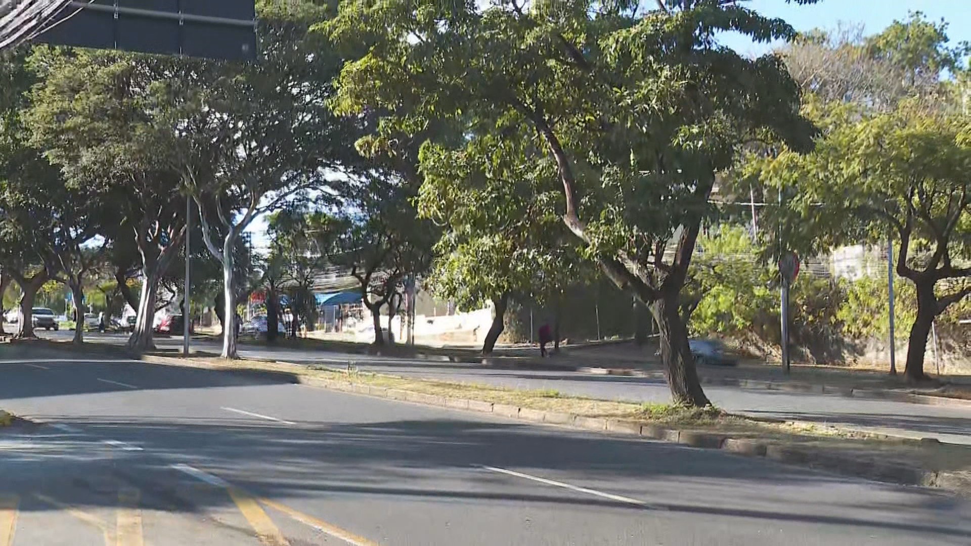 Ciclista morre após perder equilíbrio e bater contra ônibus em avenida de BH