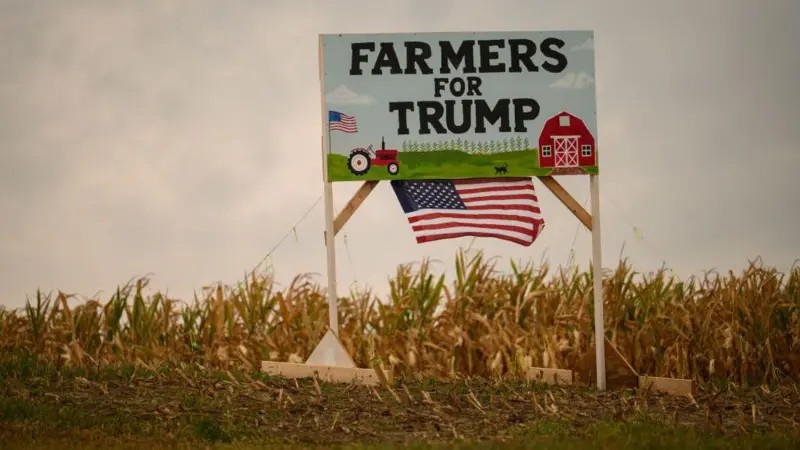 Tarifas de Trump atingem agronegócio americano: 'Muitos vão quebrar'