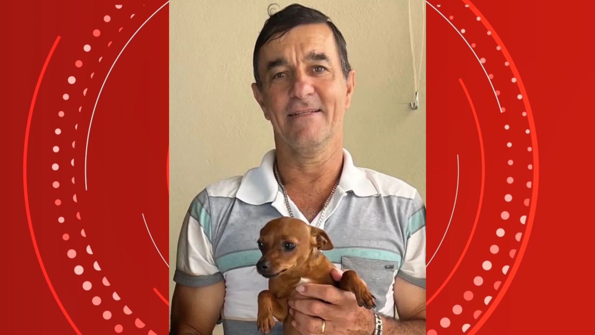 Filha de homem espancado após atropelar cavalo diz que pai está 'vivo por um milagre'