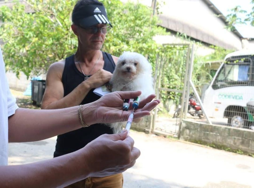 Santos realiza campanha de vacinação gratuita para cães