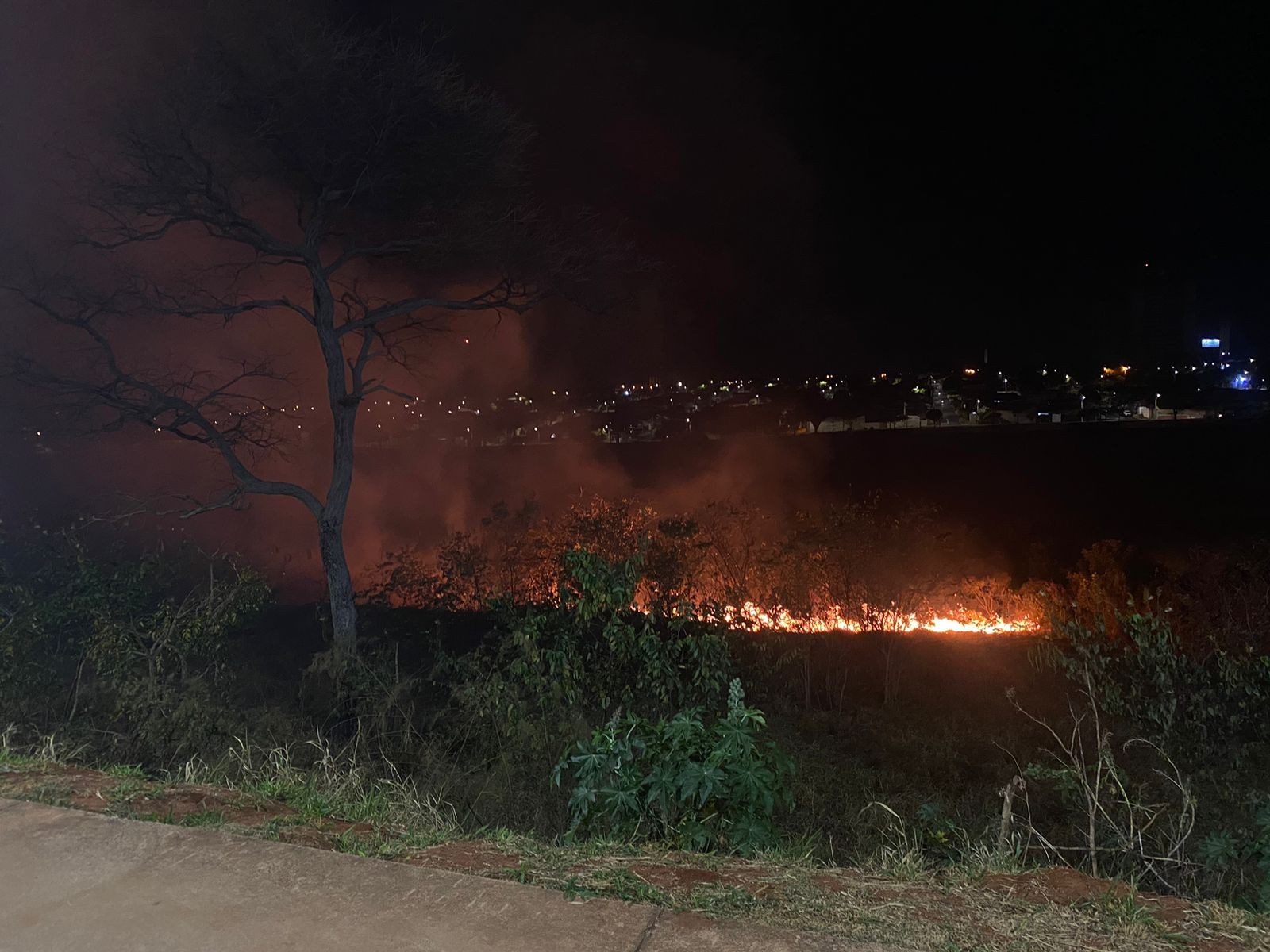 Incêndio atinge área de mata próximo a avenida de Bauru e mobiliza equipes para combate às chamas 