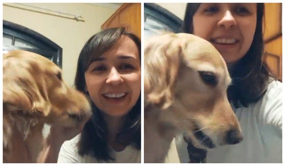 Cachorra Tequila foi recuperada pela fam?lia ap?s assalto na Zona Leste de SP ? Foto: Arquivo Pessoal