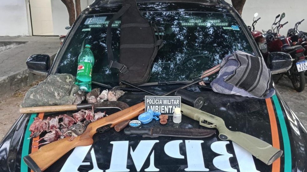 PMCE apreende armas, aves abatidas e motocicleta durante combate à caça ilegal em Tamboril. — Foto: Divulgação/PMCE