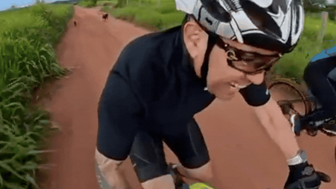 VÍDEO: ciclistas são perseguidos por cães durante pedal em zona rural de MT
